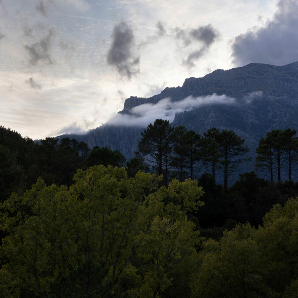 Hotel-Charme-Nature-Centre-Corse-Venaco-2 Hotel-Charme-Nature-Centre-Corse-Venaco-2